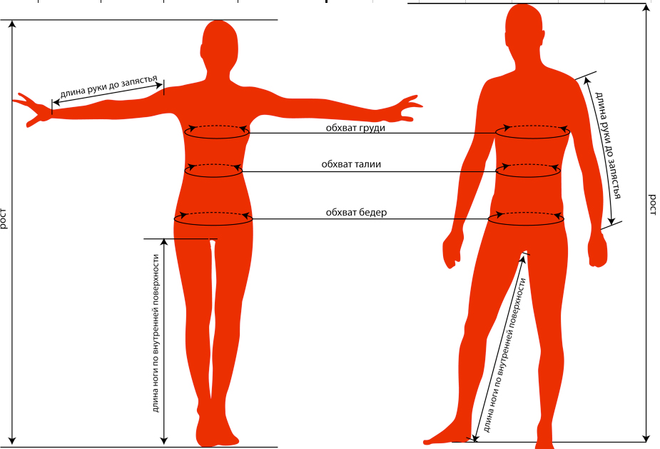 Тело насколько. Длина руки. Длина руки человека. Нормальная длина рук. Человек для измерения размеров.